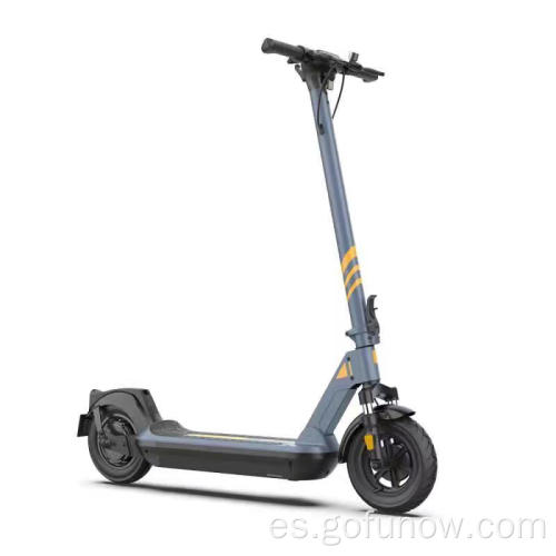 Nuevo scooter eléctrico de venta para adultos 350W 36V